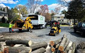 Lawn Grading and Leveling in Dundas, MN